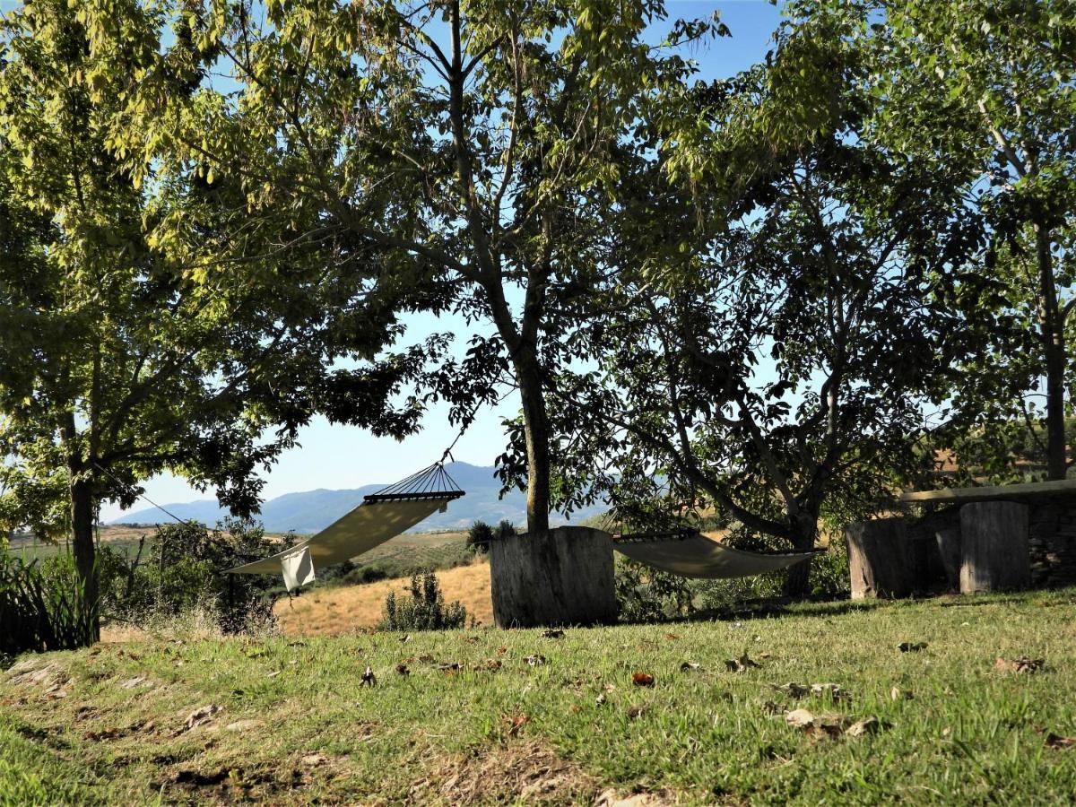 Villa Quinta Da Alagoa à Santa Maria de Émeres Extérieur photo
