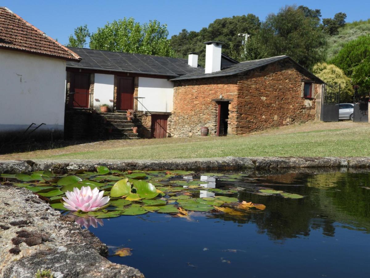 Villa Quinta Da Alagoa à Santa Maria de Émeres Extérieur photo