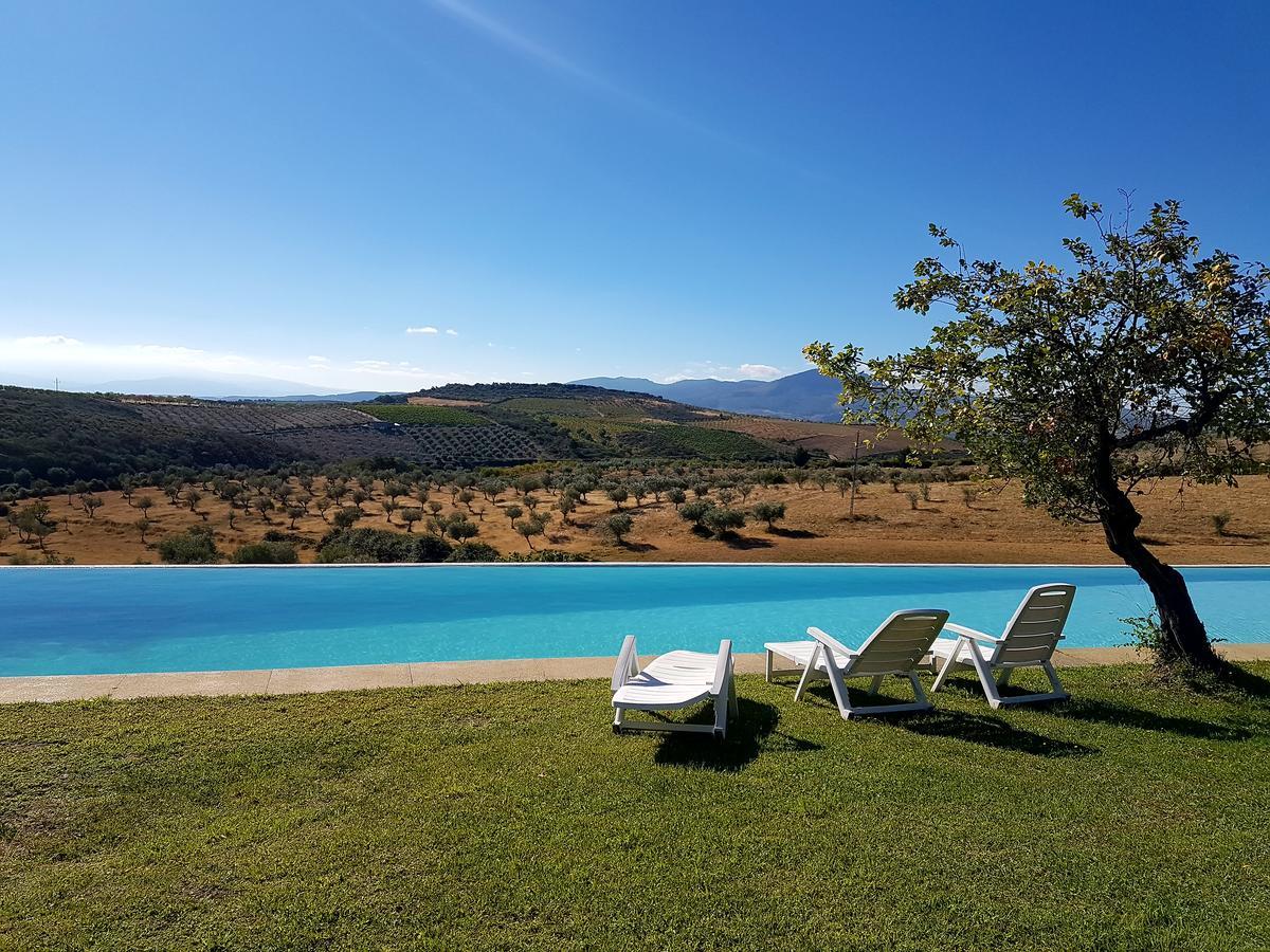 Villa Quinta Da Alagoa à Santa Maria de Émeres Extérieur photo