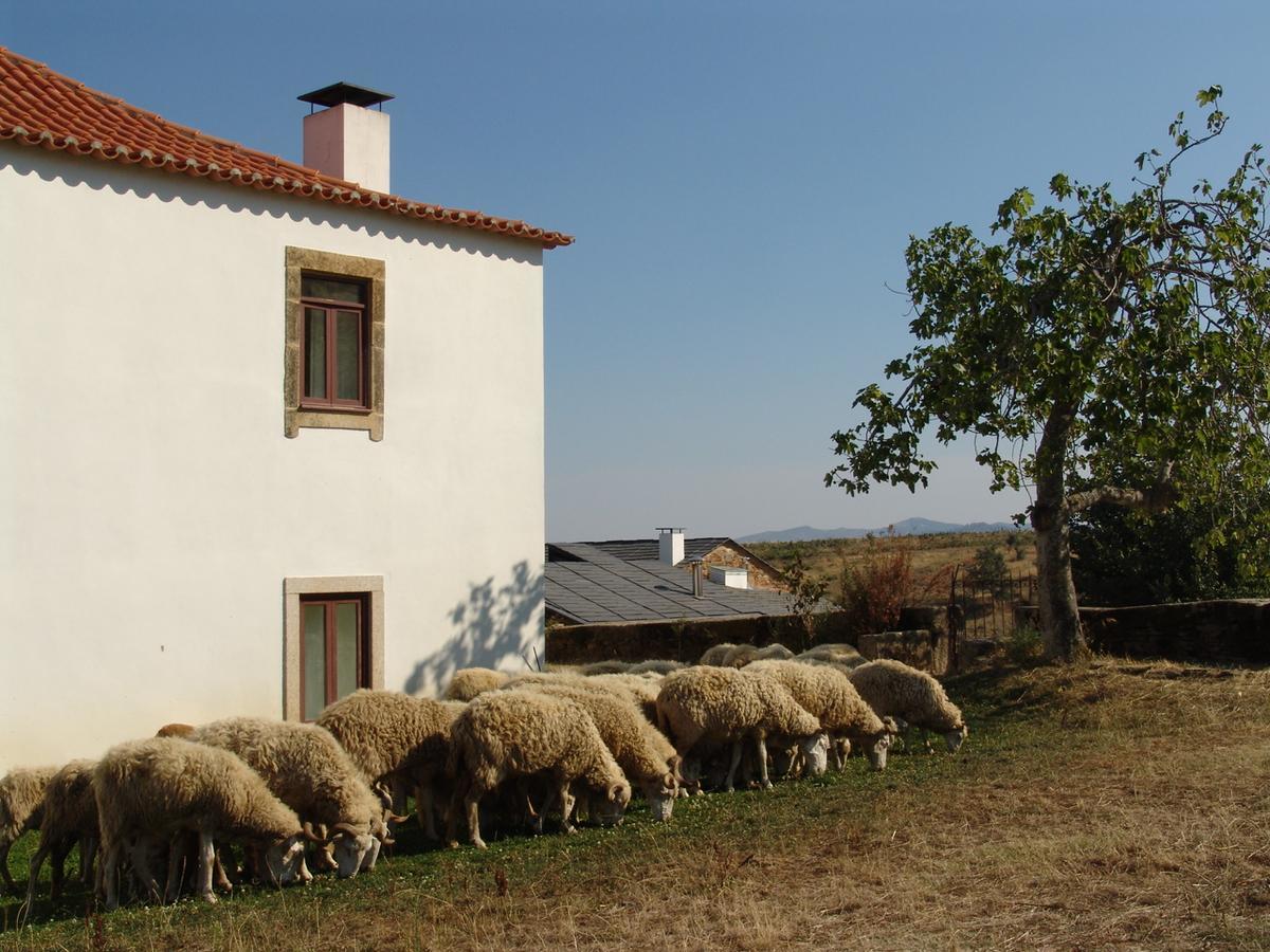Villa Quinta Da Alagoa à Santa Maria de Émeres Extérieur photo