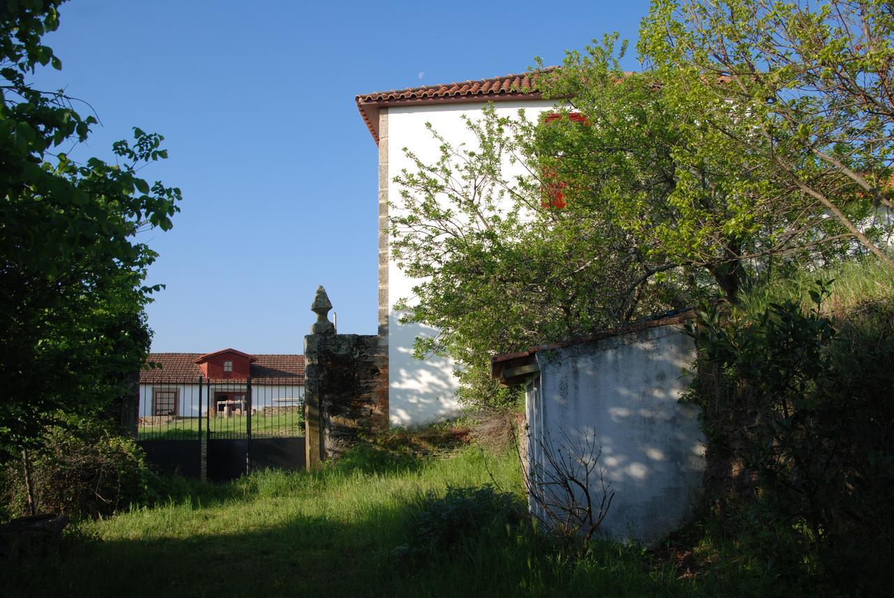 Villa Quinta Da Alagoa à Santa Maria de Émeres Extérieur photo